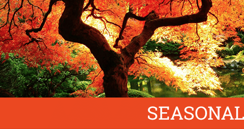 Seasonal SEO