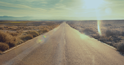 June Website